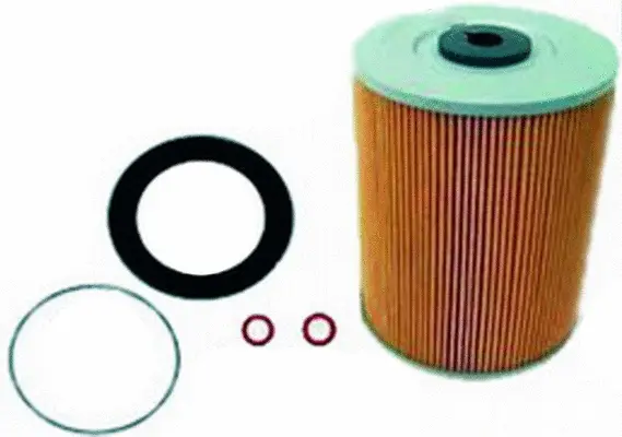 Fuel Filter (FE22206)