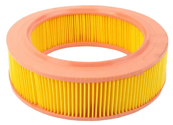 Air Filter (A22247)