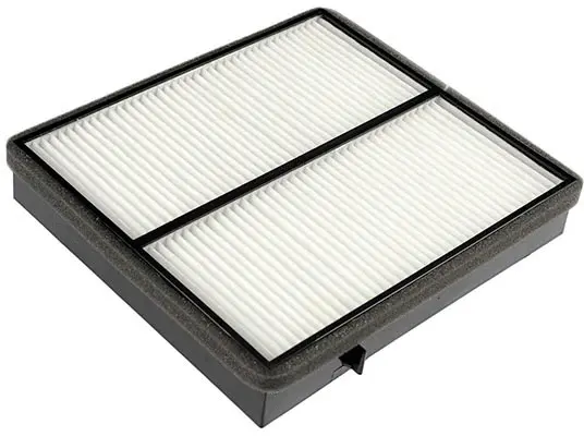 Filter, cabin air (AC31105)