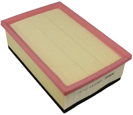 Air Filter (A42215)