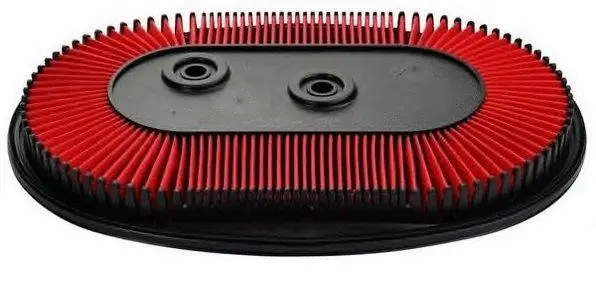 Air Filter (A22220)