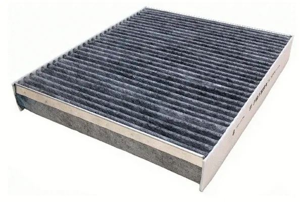 Filter, cabin air (AC51111C)