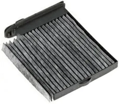 Filter, cabin air (AC22509C)