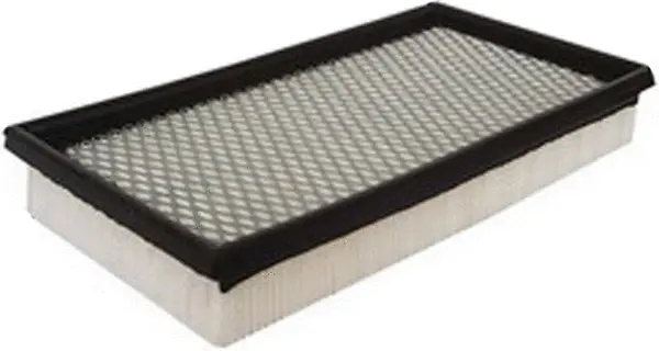 Air Filter (A51262)