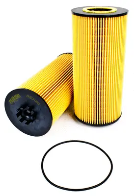 Oil Filter (OE31602)