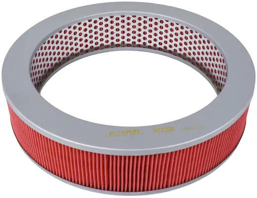 Air Filter (A22206)