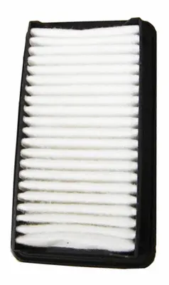 Air Filter (A29991)