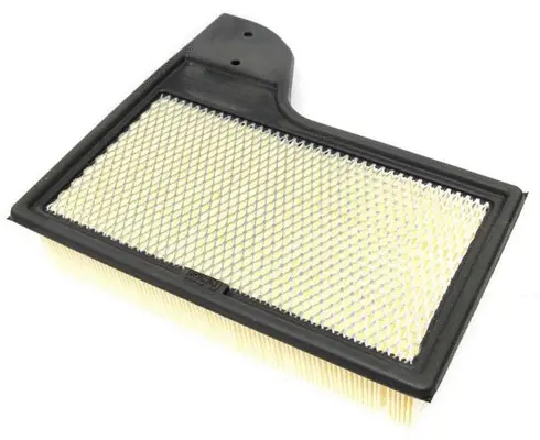 Air Filter (A51039)