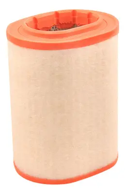 Air Filter (A47164)