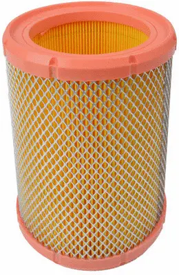 Air Filter (A42018)