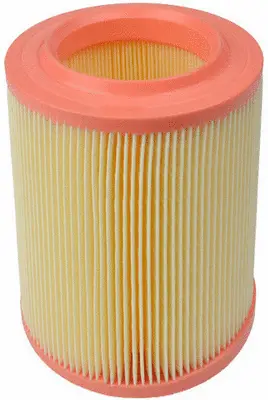 Air Filter (A43033)