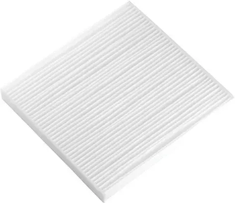 Filter, cabin air (AC42143)