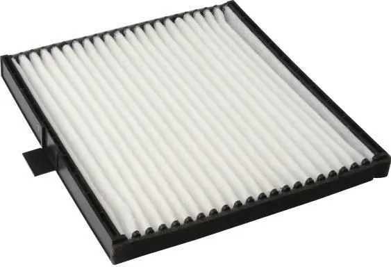 Filter, cabin air (AC52009)