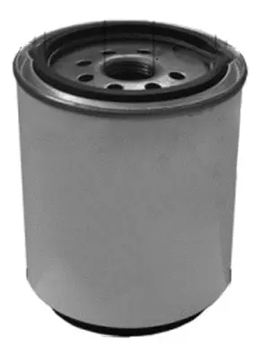 Fuel Filter (FC26029S30)