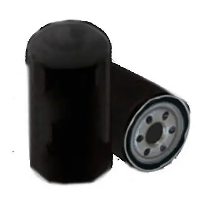 Oil Filter (C33052)
