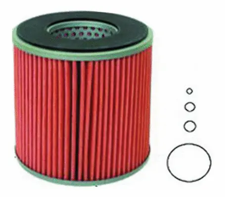 Fuel Filter (FE26606)