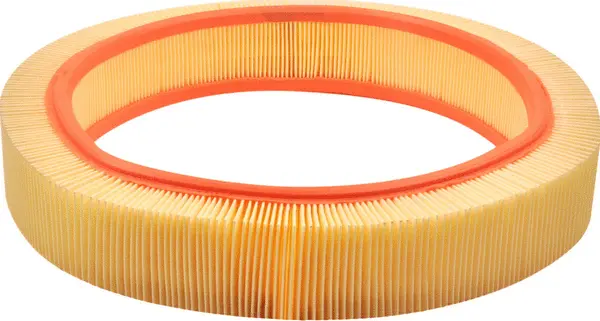 Air Filter (A31061)