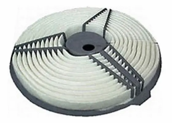 Air Filter (A21165)