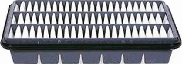 Air Filter (A21021)