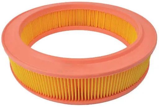 Air Filter (A40021)