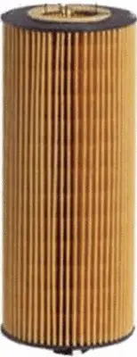 Oil Filter (OE31017)
