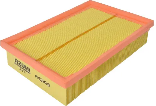 Air Filter (A42020)