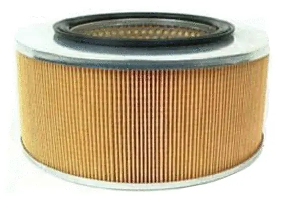 Air Filter (A13450)