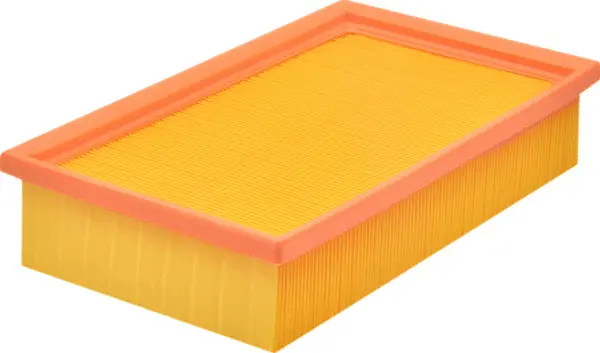 Air Filter (A43038)