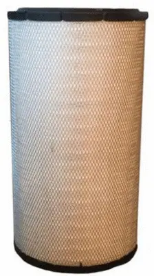 Air Filter (A45012)
