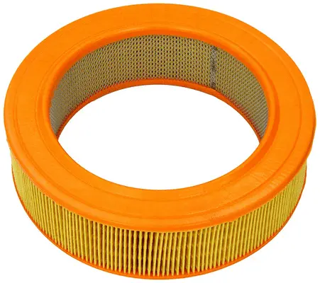 Air Filter (A31055)