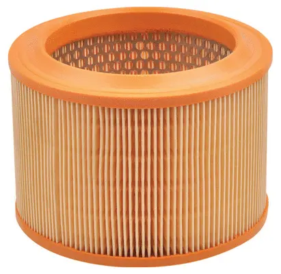 Air Filter (A42161)