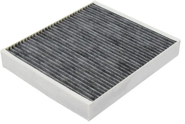 Filter, cabin air (AC52205C)