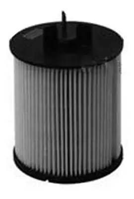 Fuel Filter (FE33007)