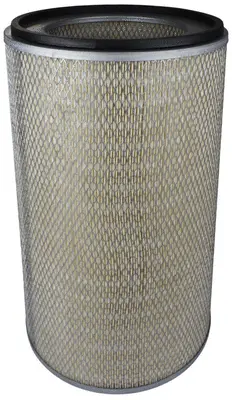 Air Filter (A22505OUT)
