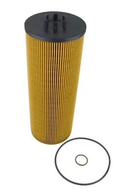 Oil Filter (OE31065)