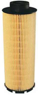 Fuel Filter (FE31001)
