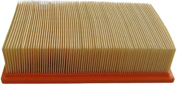 Air Filter (A14601)