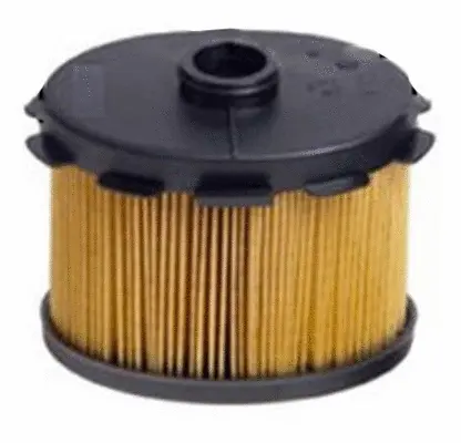Fuel Filter (FE42003)