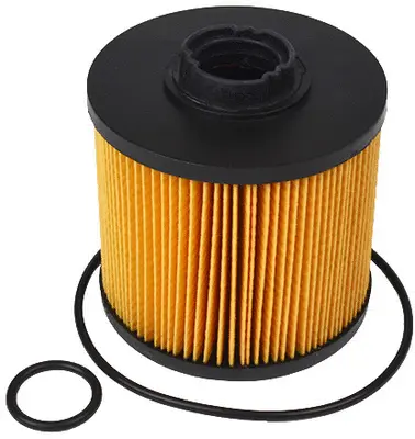 Fuel Filter (FE23502)