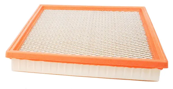 Air Filter (A22508)
