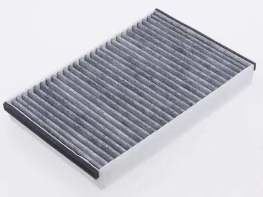 Filter, cabin air (AC31002C)