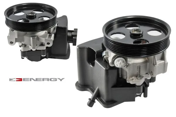 Hydraulic Pump, steering (PW690116)