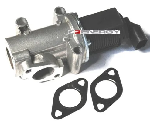 EGR Valve (ZE0025)