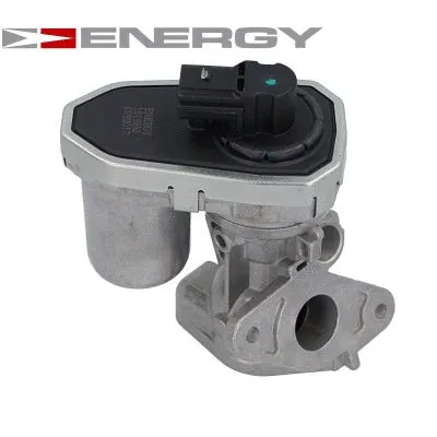 EGR Valve (ZE0043)