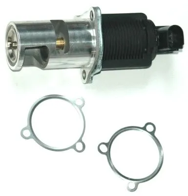 EGR Valve (ZE0020)