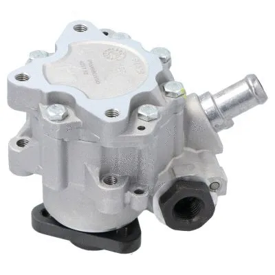 Hydraulic Pump, steering (PW680150)