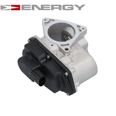 EGR Valve (ZE0070)