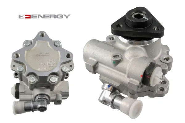 Hydraulic Pump, steering (PW690126)