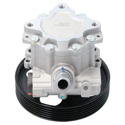 Hydraulic Pump, steering (PW680141)