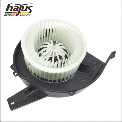 Interior Blower
